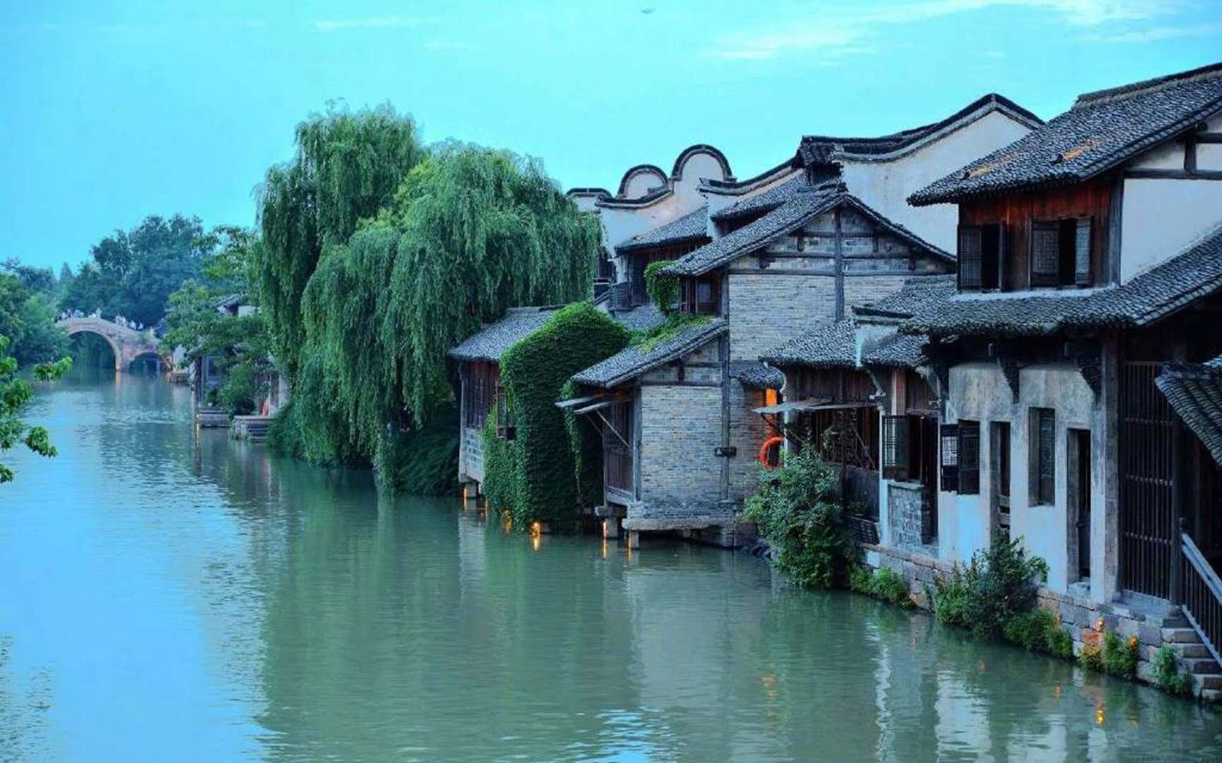 新华视点|“一碗面”的乡村振兴路